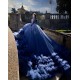 Ruffled Royal Blue Quince Dress Long Sleeve Vestidos De 15 Anos