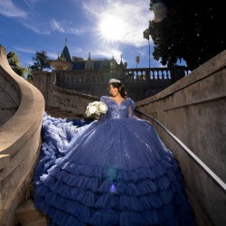 Ruffled Royal Blue Quince Dress Long Sleeve Vestidos De 15 Anos