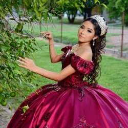 Sequin Sweetheart Neck Burgundy Quince Dresses Off Shoulder 15 Dress