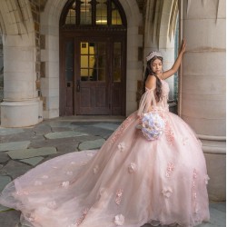 Sleeveless 15 Anos Pink Quince Dress Sweet 15 Gowns Girl Birthday Gowns