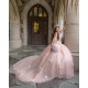 Sleeveless 15 Anos Pink Quince Dress Sweet 15 Gowns Girl Birthday Gowns