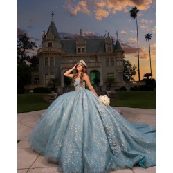 Sleeveless Aqua Blue Quinceanera Dress Sweetheart Neck Vestidos De 15 Anos