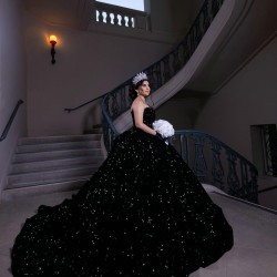 Sleeveless Black Quinceanera Dress Sweetheart 2024 Dresses