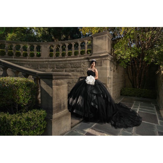 Sleeveless Black Quinceanera Dresses Square Collar 15 Dress