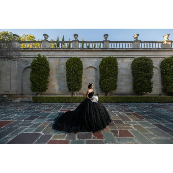 Sleeveless Black Quinceanera Dresses Square Collar 15 Dress