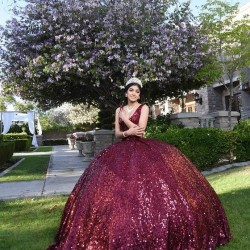 Sleeveless Burgundy Quince Dresses V Neck 15 Dress