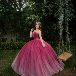 Sleeveless Burgundy Quince Dresses V Neck 15 Dress in instagram