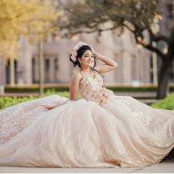 Sleeveless Champagne Quince Dress Sweetheart Neck Sweet 15 Gowns