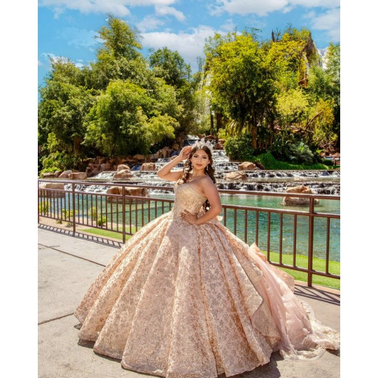 Sleeveless Champagne Quinceanera Dress Strapless 15 Dresses With Bow