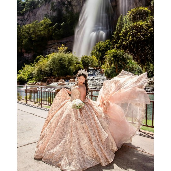 Sleeveless Champagne Quinceanera Dress Strapless 15 Dresses With Bow