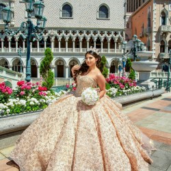 Sleeveless Champagne Quinceanera Dress Strapless 15 Dresses With Bow