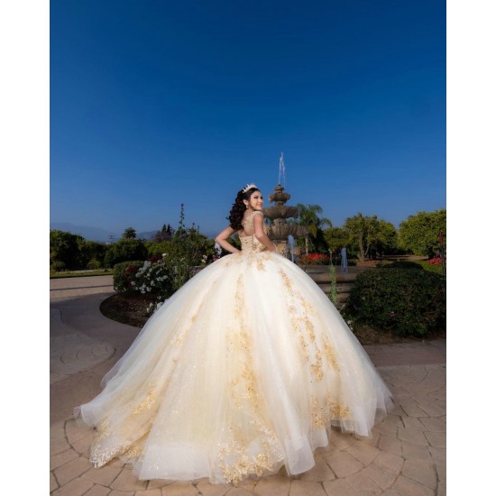 Sleeveless Champagne Quinceanera Dress Sweetheart Neck Sweet 15 Gowns