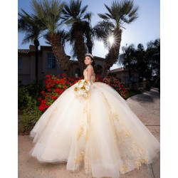 Sleeveless Champagne Quinceanera Dress Sweetheart Neck Sweet 15 Gowns