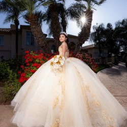 Sleeveless Champagne Quinceanera Dress Sweetheart Neck Sweet 15 Gowns