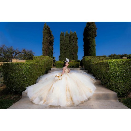 Sleeveless Champagne Quinceanera Dress Sweetheart Neck Sweet 15 Gowns