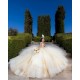 Sleeveless Champagne Quinceanera Dress Sweetheart Neck Sweet 15 Gowns