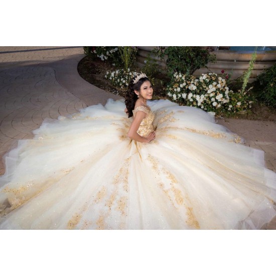 Sleeveless Champagne Quinceanera Dress Sweetheart Neck Sweet 15 Gowns