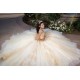 Sleeveless Champagne Quinceanera Dress Sweetheart Neck Sweet 15 Gowns