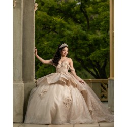 Sleeveless Champagne Quinceanera Dresses Sweetheart Neck 15 Dress