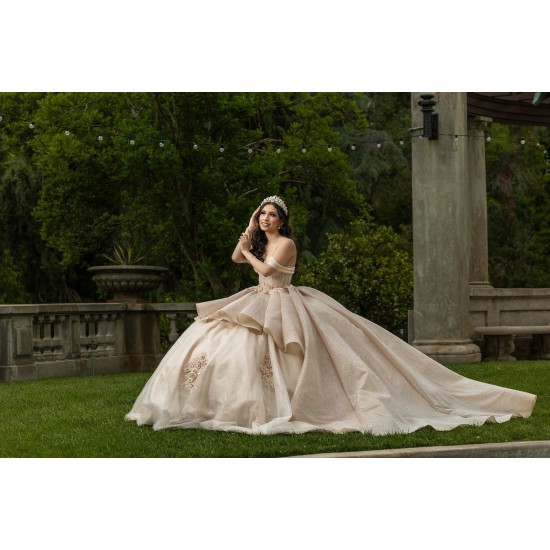 Sleeveless Champagne Quinceanera Dresses Sweetheart Neck 15 Dress