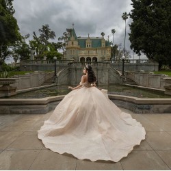 Sleeveless Champagne Quinceanera Dresses Sweetheart Neck 15 Dress