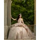 Sleeveless Champagne Quinceanera Dresses Sweetheart Neck 15 Dress