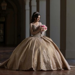 Sleeveless Champagne Quinceanera Dresses V Neck 15 Dress