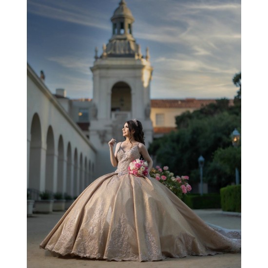 Sleeveless Champagne Quinceanera Dresses V Neck 15 Dress