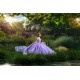 Sleeveless Lilac Quinceanera Dresses Sweetheart Neck 15 Dress