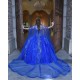 Sleeveless Navy Blue Quinceanera Dress Sweetheart Neck 15 Dresses