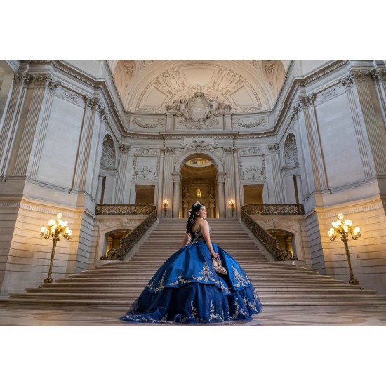 Sleeveless Navy Blue Quinceanera Dresses Sweetheart Neck 15 Dress