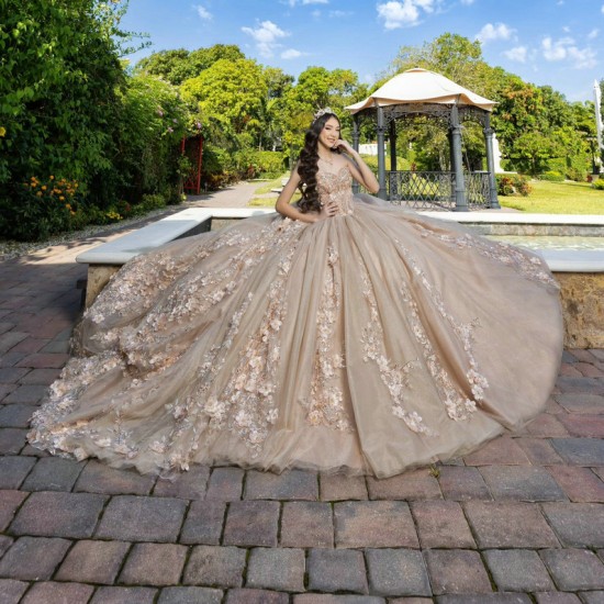 Sleeveless Nude Quinceanera Dress Crystal Vestidos De 15 Anos With 3D Flowers