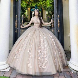 Sleeveless Nude Quinceanera Dress Crystal Vestidos De 15 Anos With 3D Flowers