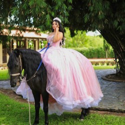 Sleeveless Pink Quince Dress Birthday Party Robe Vestidos De 15 Anos