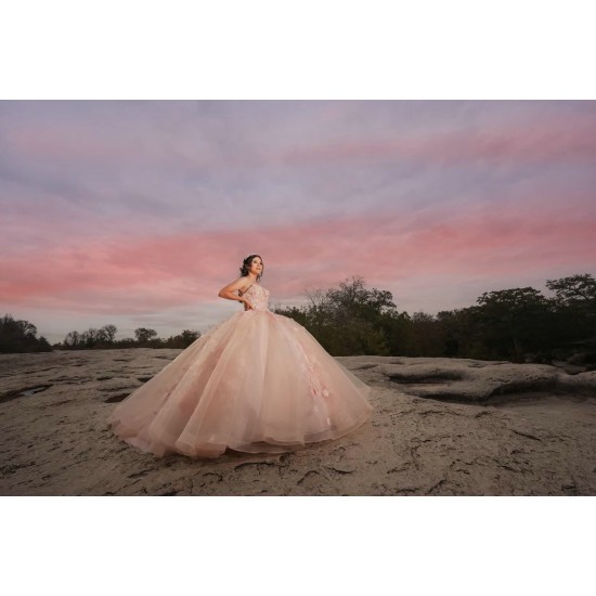 Sleeveless Pink Quinceanera Dress Sweet 15 Gowns Princess Dresses