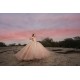 Sleeveless Pink Quinceanera Dress Sweet 15 Gowns Princess Dresses