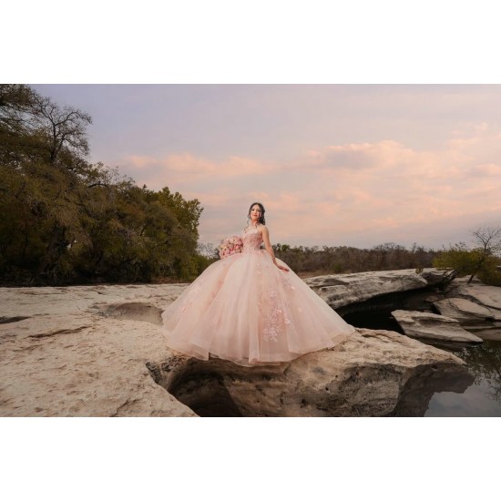 Sleeveless Pink Quinceanera Dress Sweet 15 Gowns Princess Dresses