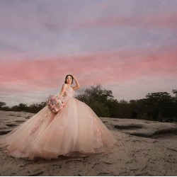 Sleeveless Pink Quinceanera Dress Sweet 15 Gowns Princess Dresses