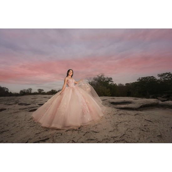 Sleeveless Pink Quinceanera Dress Sweet 15 Gowns Princess Dresses