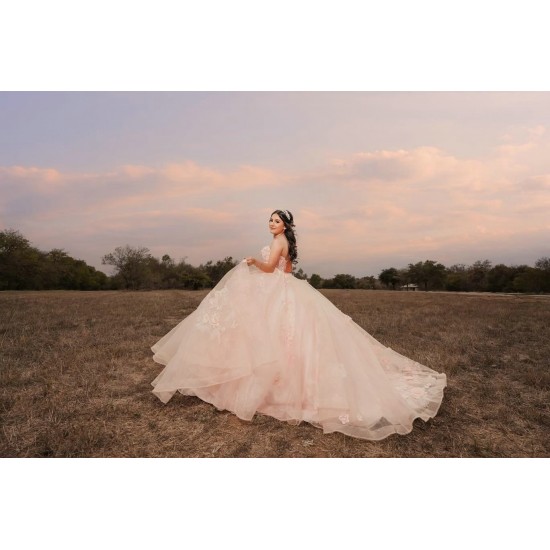 Sleeveless Pink Quinceanera Dress Sweet 15 Gowns Princess Dresses