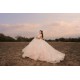 Sleeveless Pink Quinceanera Dress Sweet 15 Gowns Princess Dresses