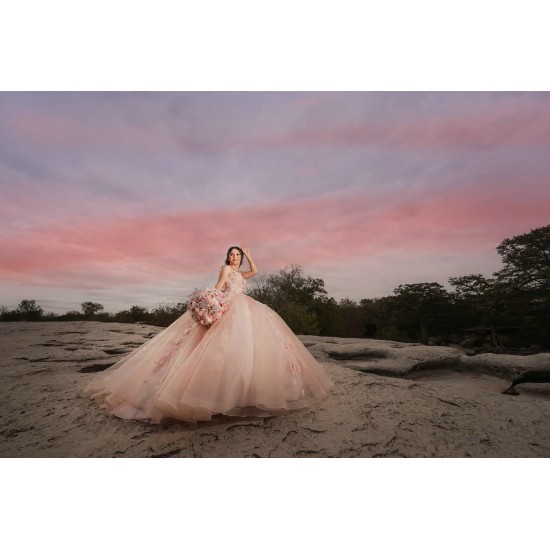 Sleeveless Pink Quinceanera Dress Sweet 15 Gowns Princess Dresses