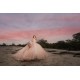 Sleeveless Pink Quinceanera Dress Sweet 15 Gowns Princess Dresses