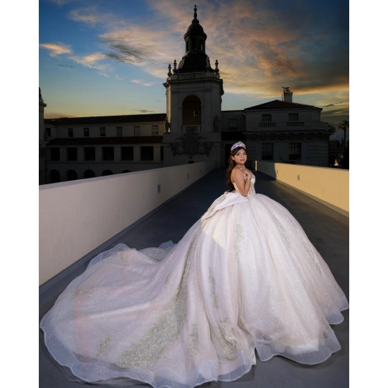 Sleeveless Pink Quinceanera Dress Sweet 15 Gowns With Bow