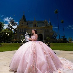 Sleeveless Pink Quinceanera Dress Sweetheart Neck 2024 Ball Gown Princess Dresses