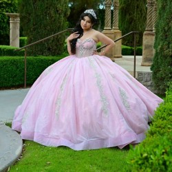 Sleeveless Pink Quinceanera Dress Sweetheart Neck Vestidos De 15 Anos