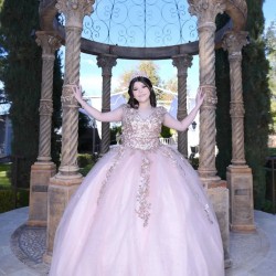 Sleeveless Pink Quinceanera Dress V Neck Metallic Sequin 15 Dresses