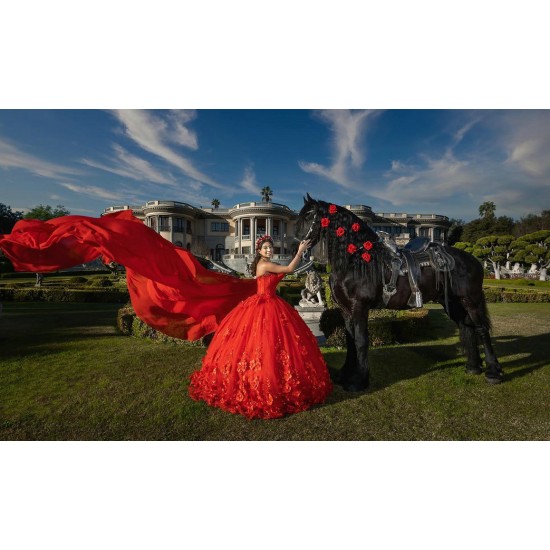 Sleeveless Red Quinceanera Dresses Sweetheart 15 Dress With 3D Flowers