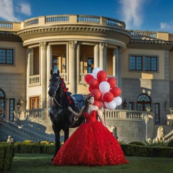 Sleeveless Red Quinceanera Dresses Sweetheart 15 Dress With 3D Flowers