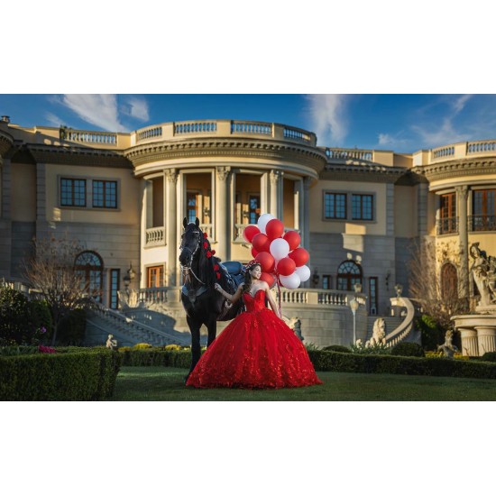 Sleeveless Red Quinceanera Dresses Sweetheart 15 Dress With 3D Flowers